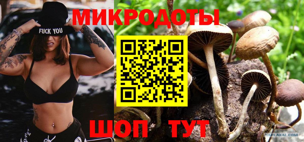 Галлюциногенные грибы прущие грибы  Вход с VPN  Нефтекамск  Галлюциногенные грибы Magic Shrooms 
